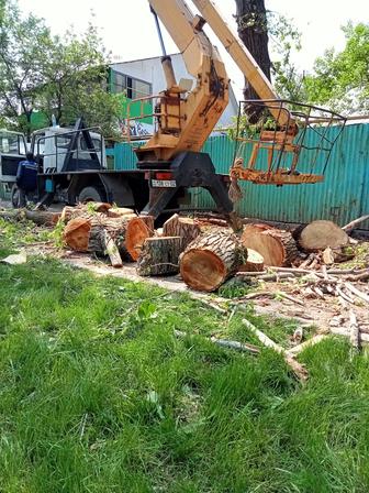 Аккуратно и безопасно спилим деревья любой сложности. спил