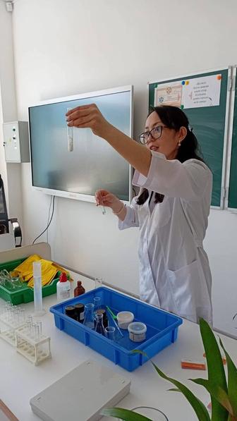 7-11 сынып оқушыларын химия пәнінен дайындаймын