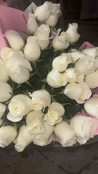 Продам букет из белых роз 35 шт. Длина 130