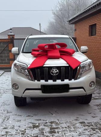 На прокат Метровый бант (бантик для авто)