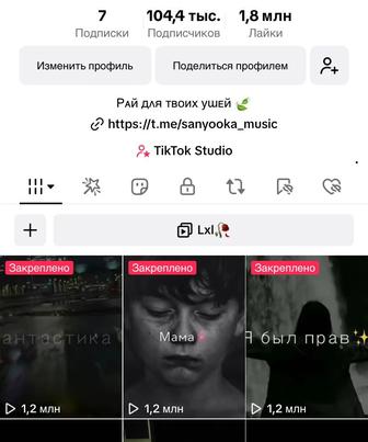 Аккаунт тик ток (tik tok)