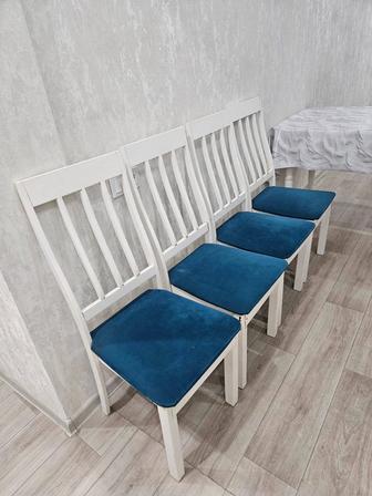 Продам стулья