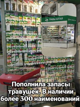 Продаем Травы лечебные алтайские.