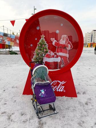 Санки-коляска