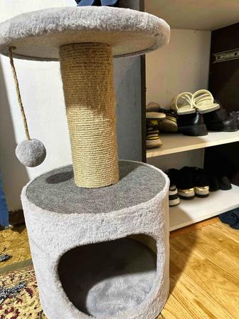 Игрушки дома для кошек