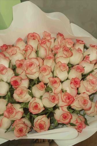 Голландская роза