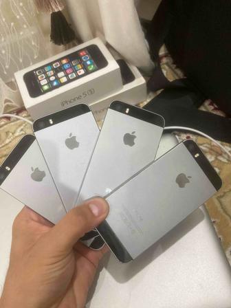 Айфон 5С тер