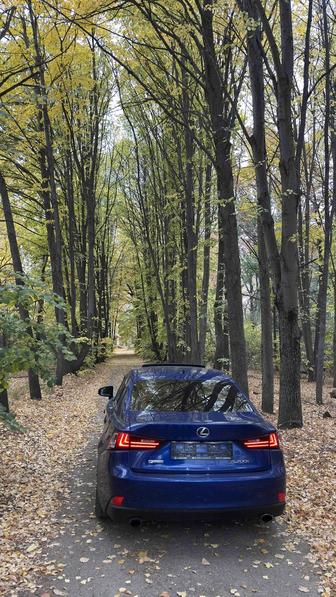 Трезвый водитель Алматы