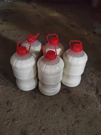 Молоко домашнее