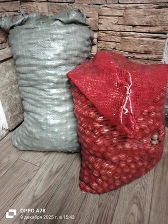 Продам грецкие орехи
