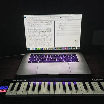 Наберу ноты в компьютер (Sibelius)