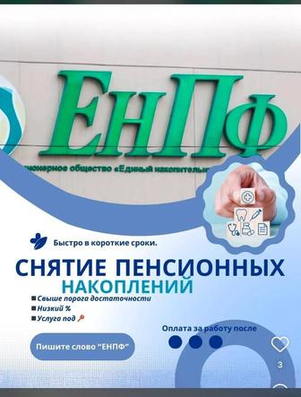 ЕнПф шешу