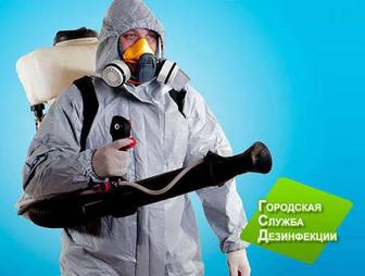 Дезинфекция 24/7