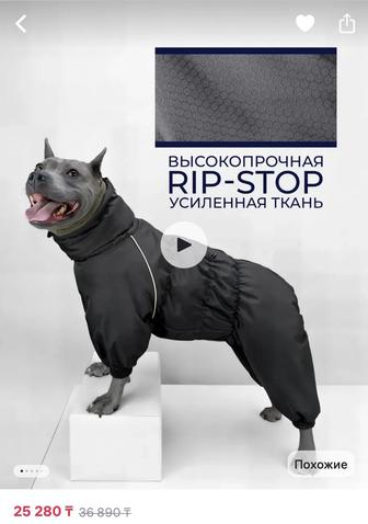 Зимняя куртка для собак