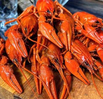 Морские горячие сочные Раки !!!