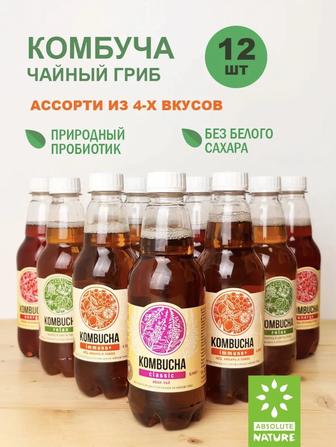 Комбуча чайный гриб Kombucha-Mix без сахара 350 мл.