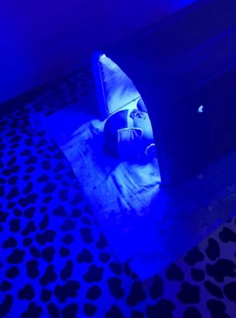 Фотолампа аренда 1500тг күндігіне