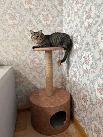 Продам домик лежанку для котов