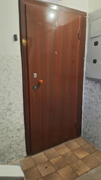 Железная дверь