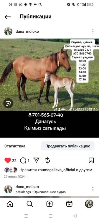 Қымыз, саумал