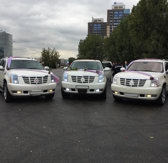 Прокат белых Cadillac Escalade