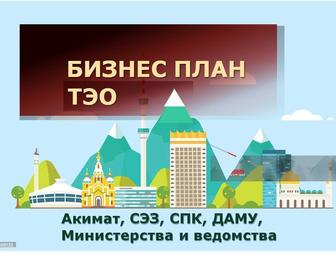 Бизнес план, ТЭО ГосПрограмм Акимат, СЭЗ, СПК, ДАМУ, министерств и ведомств