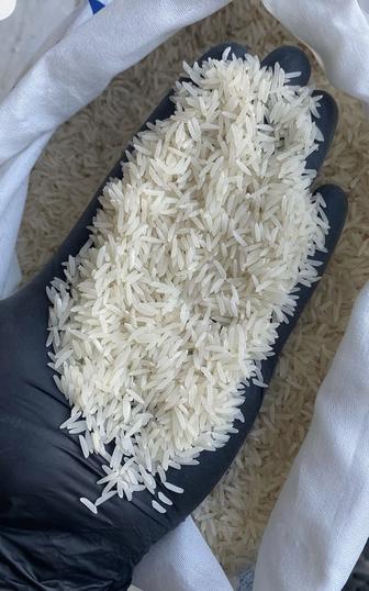 Рис Лазер