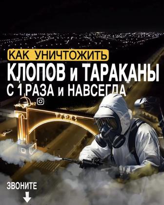 Дизенфекция СЭС Клопы Тараканы ТАРАЗ