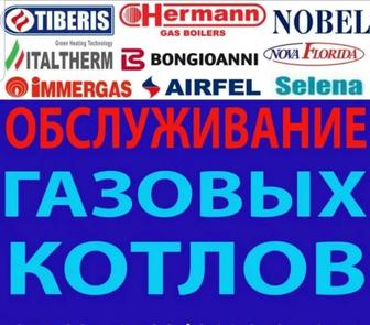 Ремонт , диагностика , газовых котлов и горелок .