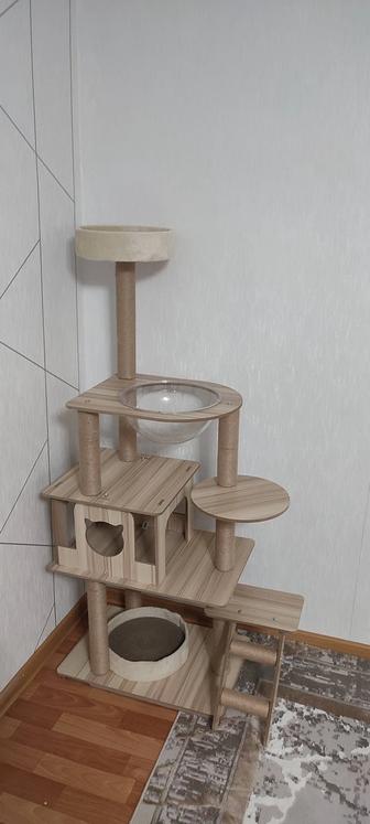 Кошачий домик