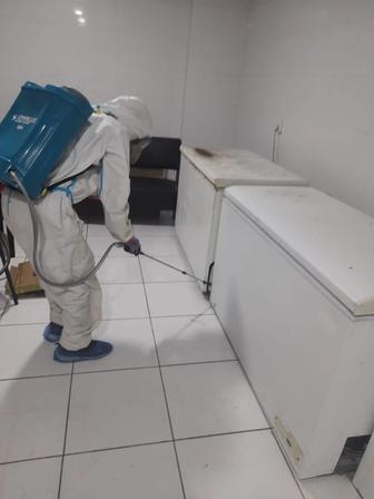 дезинфекция дератизация дезинсекция