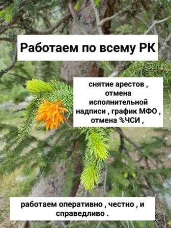 Аресты ШЕШУ .МФО ,КОЛЛЕКТОРЫ .