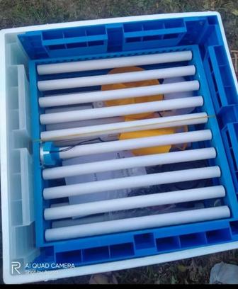 Инкубатор Умница