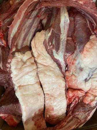 Свежая тайка на продажу! / Жаңа сойылған тай еті сатылымда!