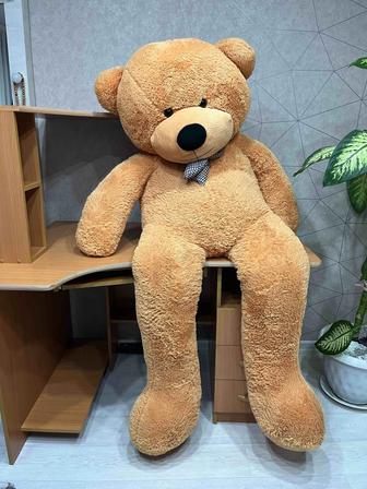 Продам медведя