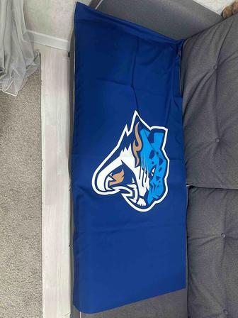 Флаг ХК Барыс. HC Barys
