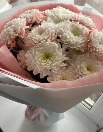 Продам цветы,свежие