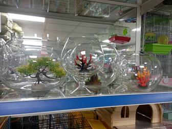 Аквариумы рюмки