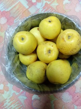 Фрукты овощи Яблоки