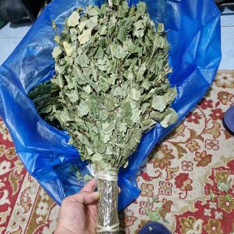 Веники для бани дуб