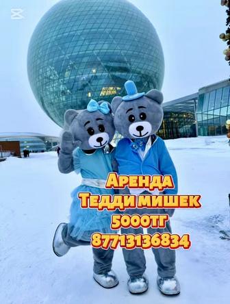 Аренда тедди мишек