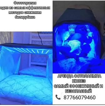 Фото лампа аренда