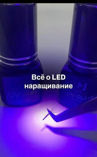 Акция на курс LED наращивание
