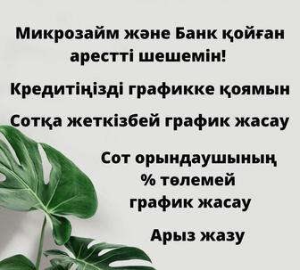 Арест шешу/ ИП жабу/ график Кою его в любой услуга