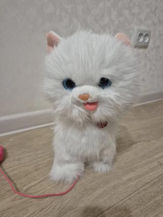 Белый котик робот,может мяукать , и ходить ,поет 8 песен