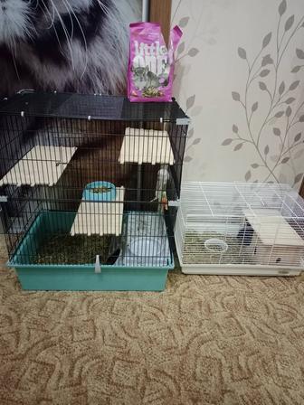 Продам шиншиллу с двумя клетками