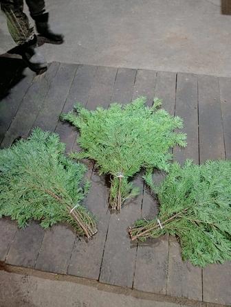 Веники банные