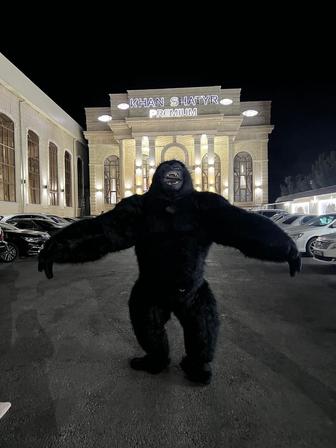 Костюм аниматора Горилла и Лабубу