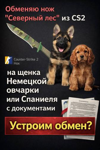 Скин ножа в обмен на щенка