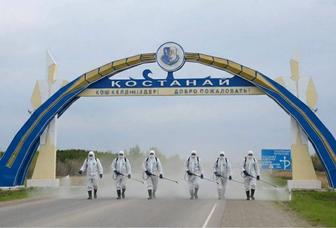 Дезинфекция проф!